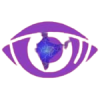 Vision1